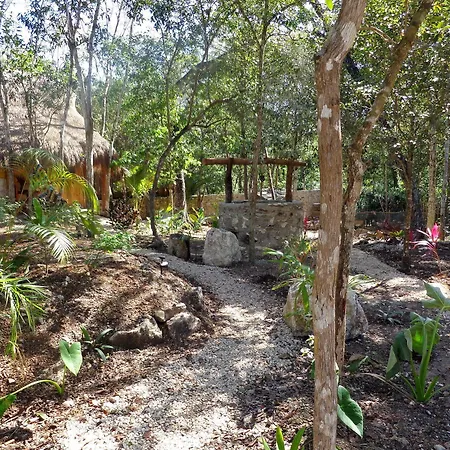 Bed and Breakfast Casa Mango