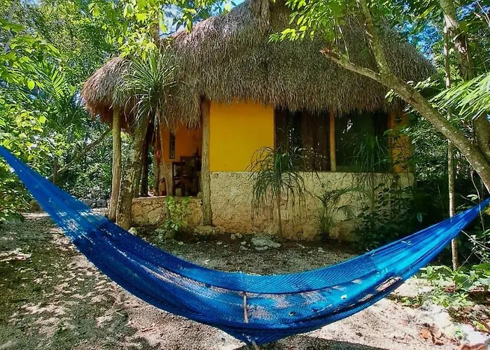 Acomodação com café da manhã  Casa Mango 4*