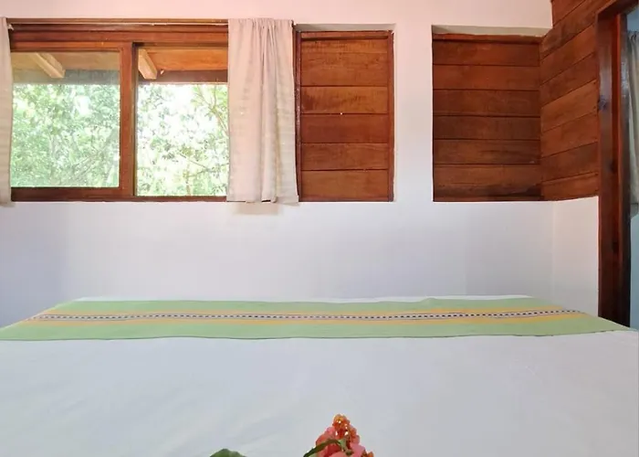 Acomodação com café da manhã  Casa Mango 4*