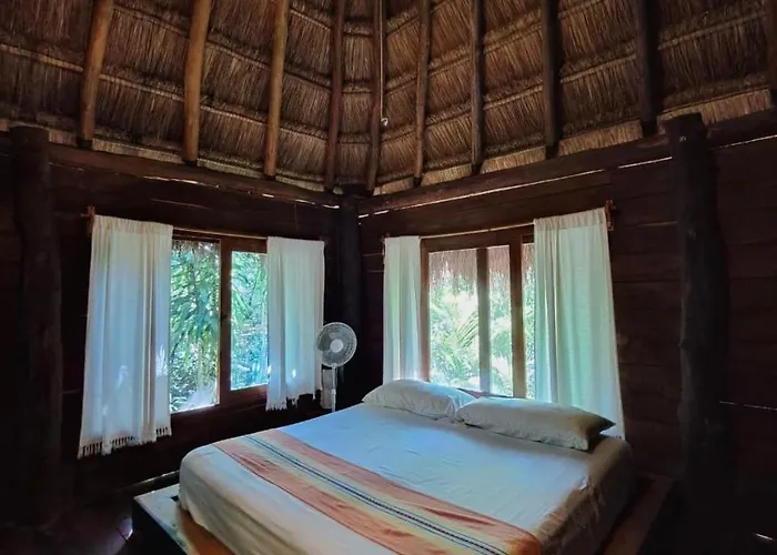 Casa Mango