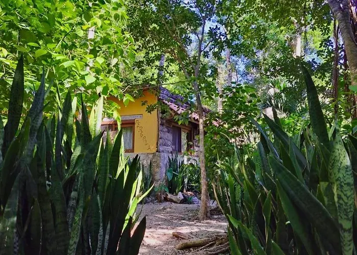 Casa Mango Acomodação com café da manhã 