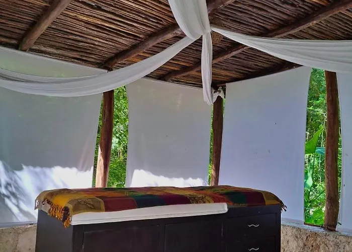 Casa Mango 4*