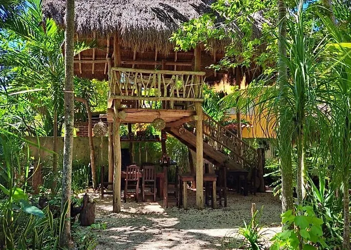 Acomodação com café da manhã  Casa Mango 4*