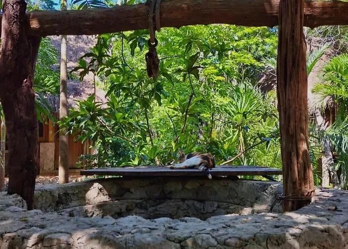 Casa Mango Acomodação com café da manhã  4*