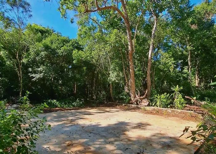 Casa Mango 4*