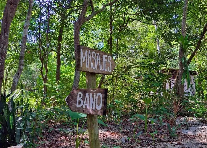 Casa Mango Acomodação com café da manhã  4*
