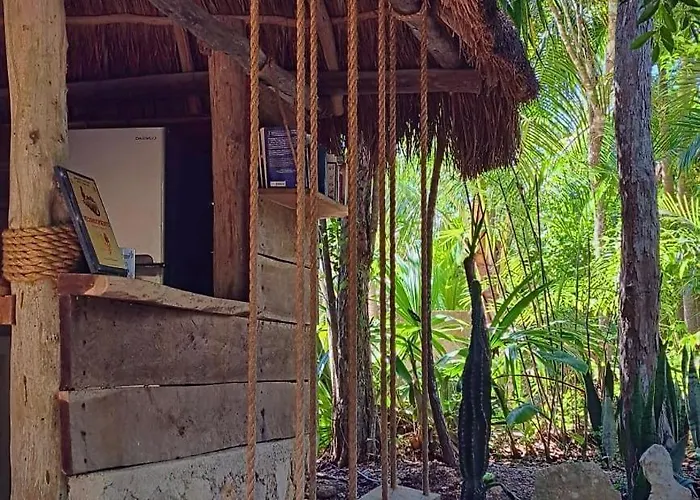 Acomodação com café da manhã  Casa Mango 4*