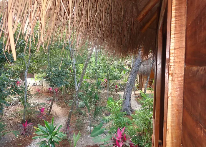Casa Mango Acomodação com café da manhã  4*