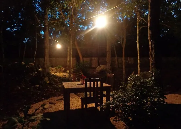 Casa Mango