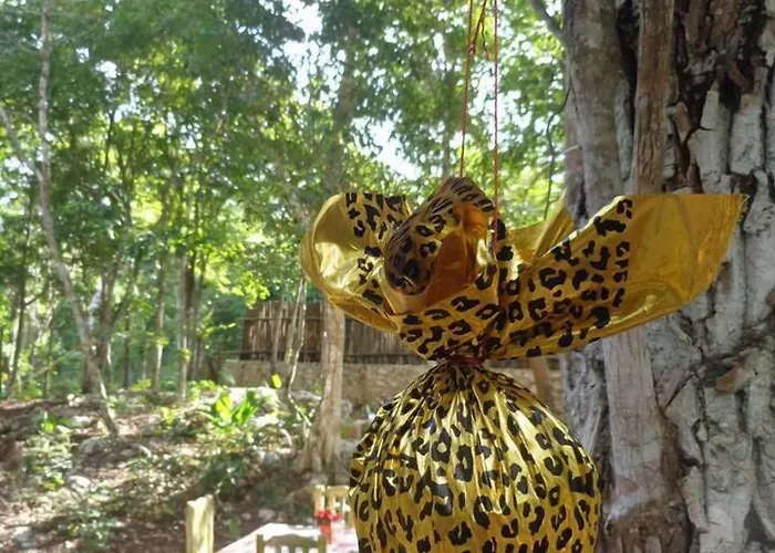 Casa Mango 4*