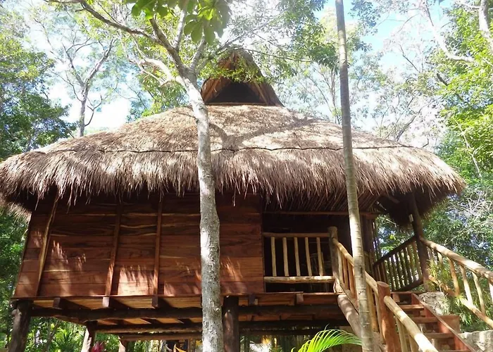 Acomodação com café da manhã  Casa Mango 4*